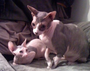 Moe & Wriggles