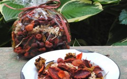 Fall potpourri