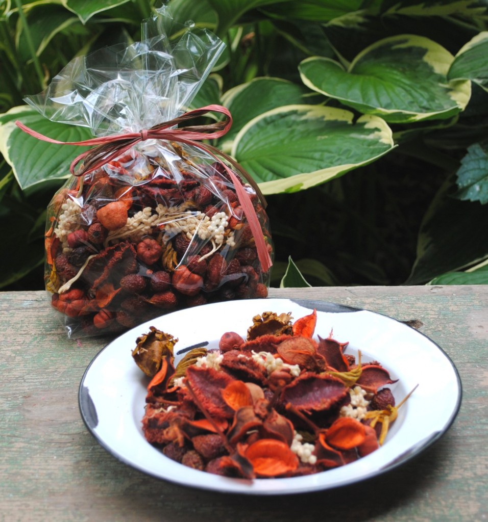 Fall potpourri
